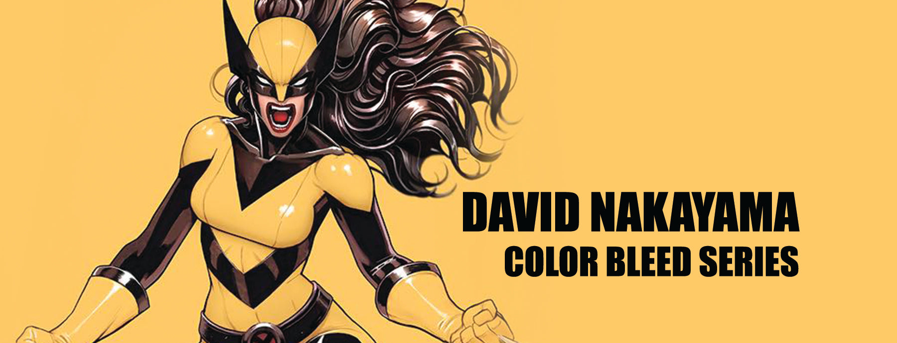 DAVID NAKAYAMA Color Bleed Series